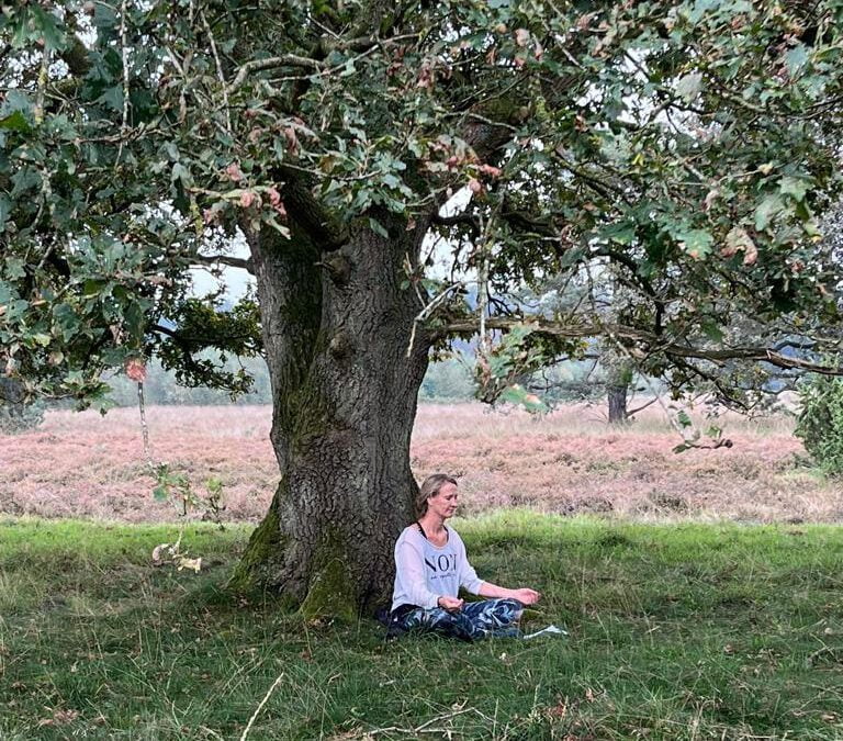 3 theeën die bij een mindfulness retreat passen