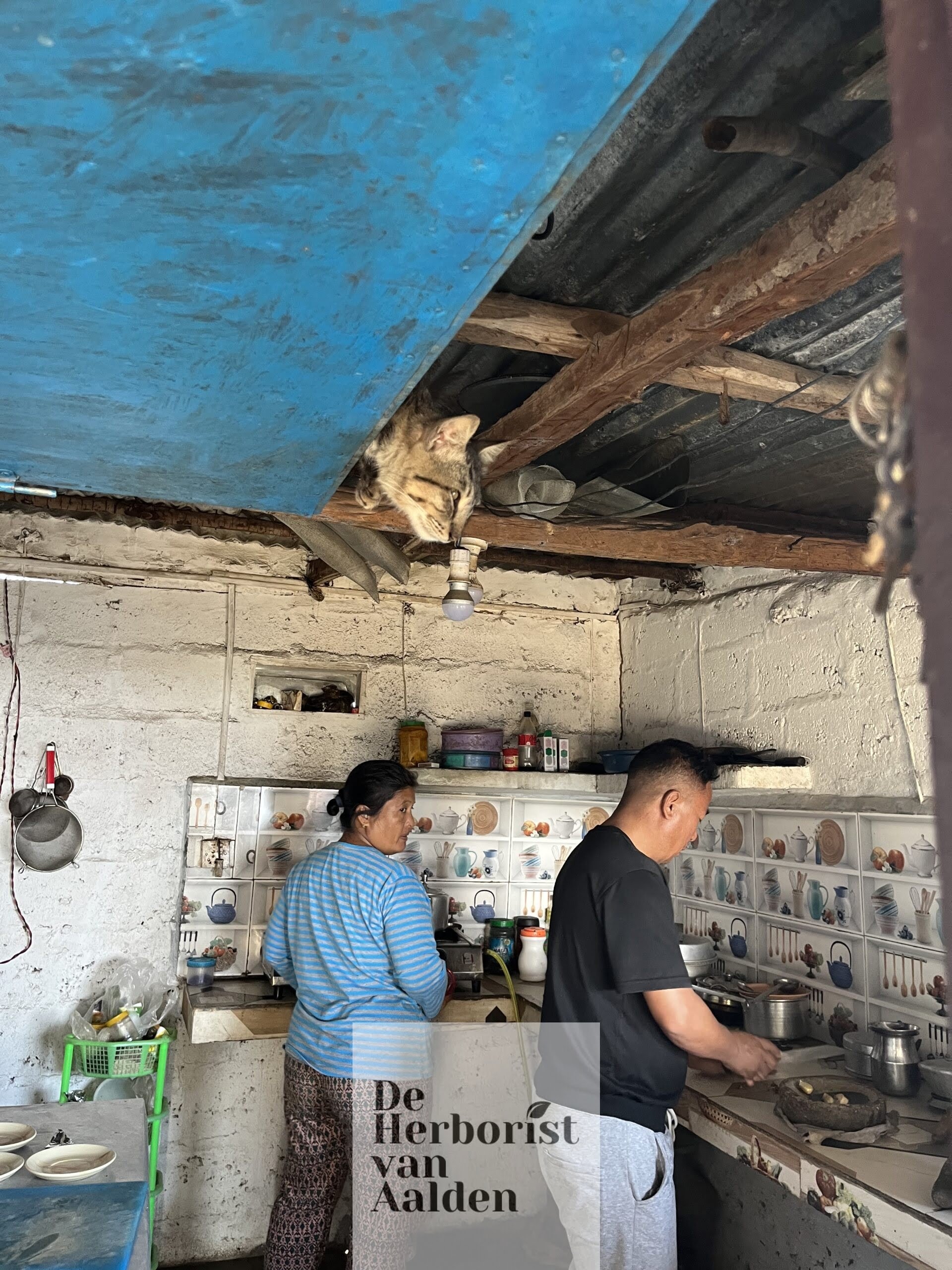 © De Herborist van Aalden in Pokhara Nepal. Masalathee ook wel chai latte maken van verse kruiden en specerijen.