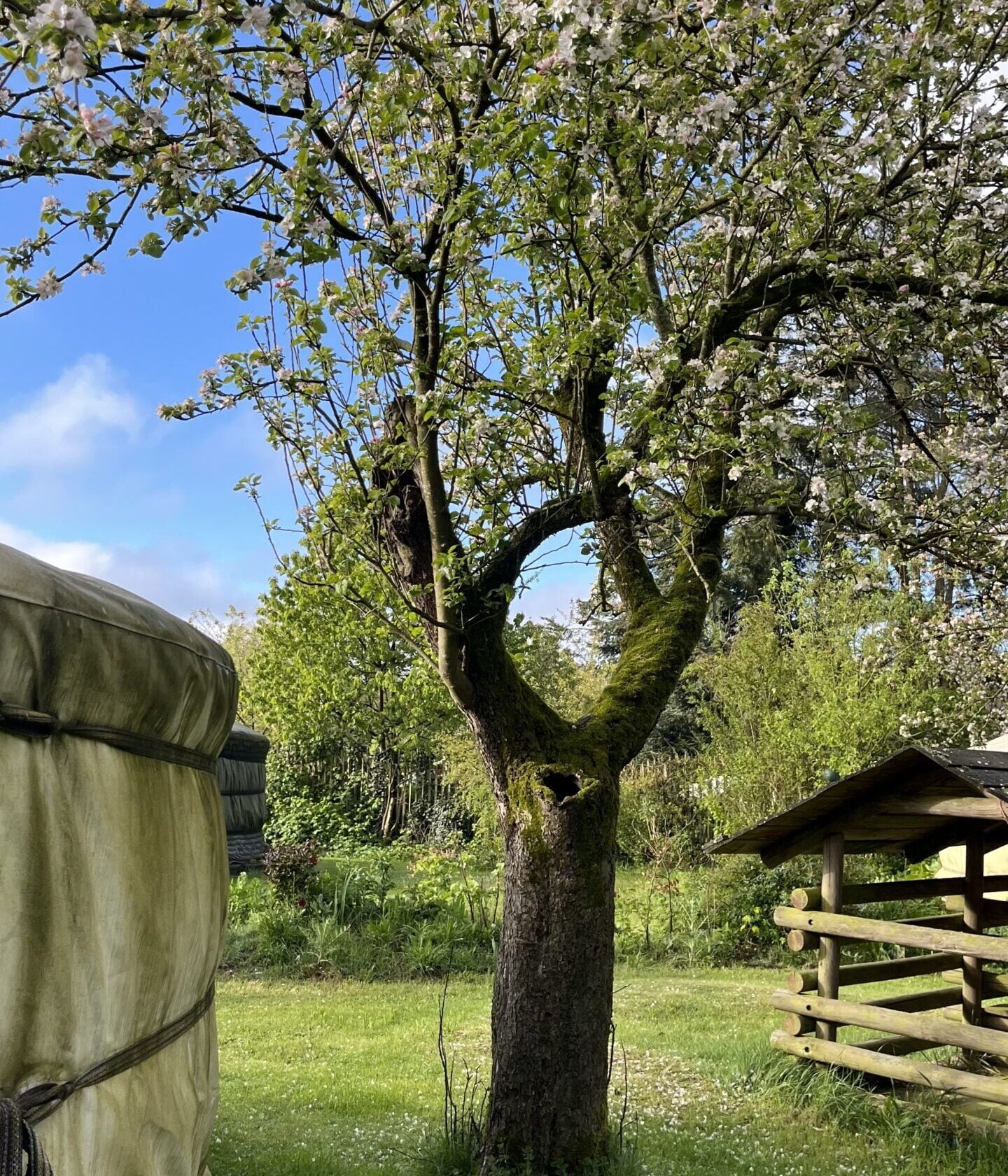 Mindful Experience Drenthe yoga en outdoor mindfulness retreat in de Emmerdennen