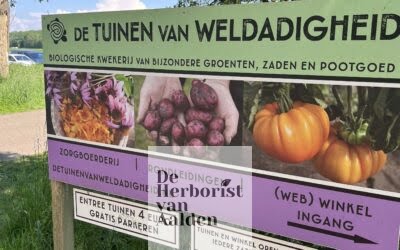 Tuinbezoek 3 De Tuinen van Weldadigheid