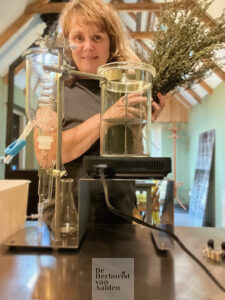 ©️De Herborist van Aalden Bijvoet klaar om te destilleren