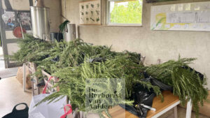 © De Herborist van Aalden Kim Voets Rozemarijn destilleren bij In de Koperen Ketel