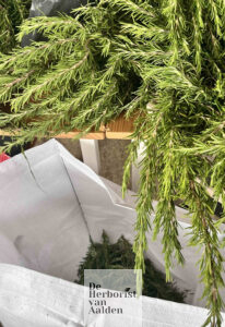 © De Herborist van Aalden Kim Voets Rozemarijn destilleren bij In de Koperen Ketel