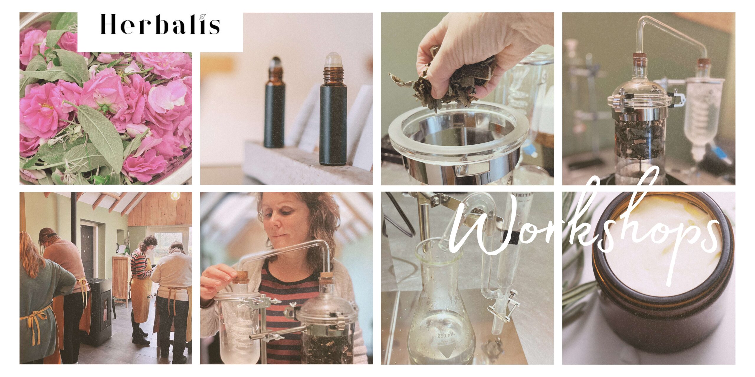 © Herbalis Kim Voets banner workshops hydrolaat maken